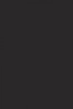 FARROW AND BALL PITCH BLACK NO. 256 PAINT